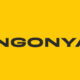 Ingonyama and Cornami Announce Strategic Collaboration to Accelerate High-Speed Cryptography